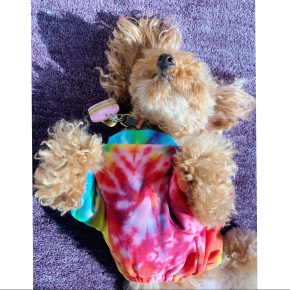 ✨🆕💖🐶LOVETHYBEAST TIE-DYE FULL BODY DOG TEE🐶💖 - Picture 4 of 6